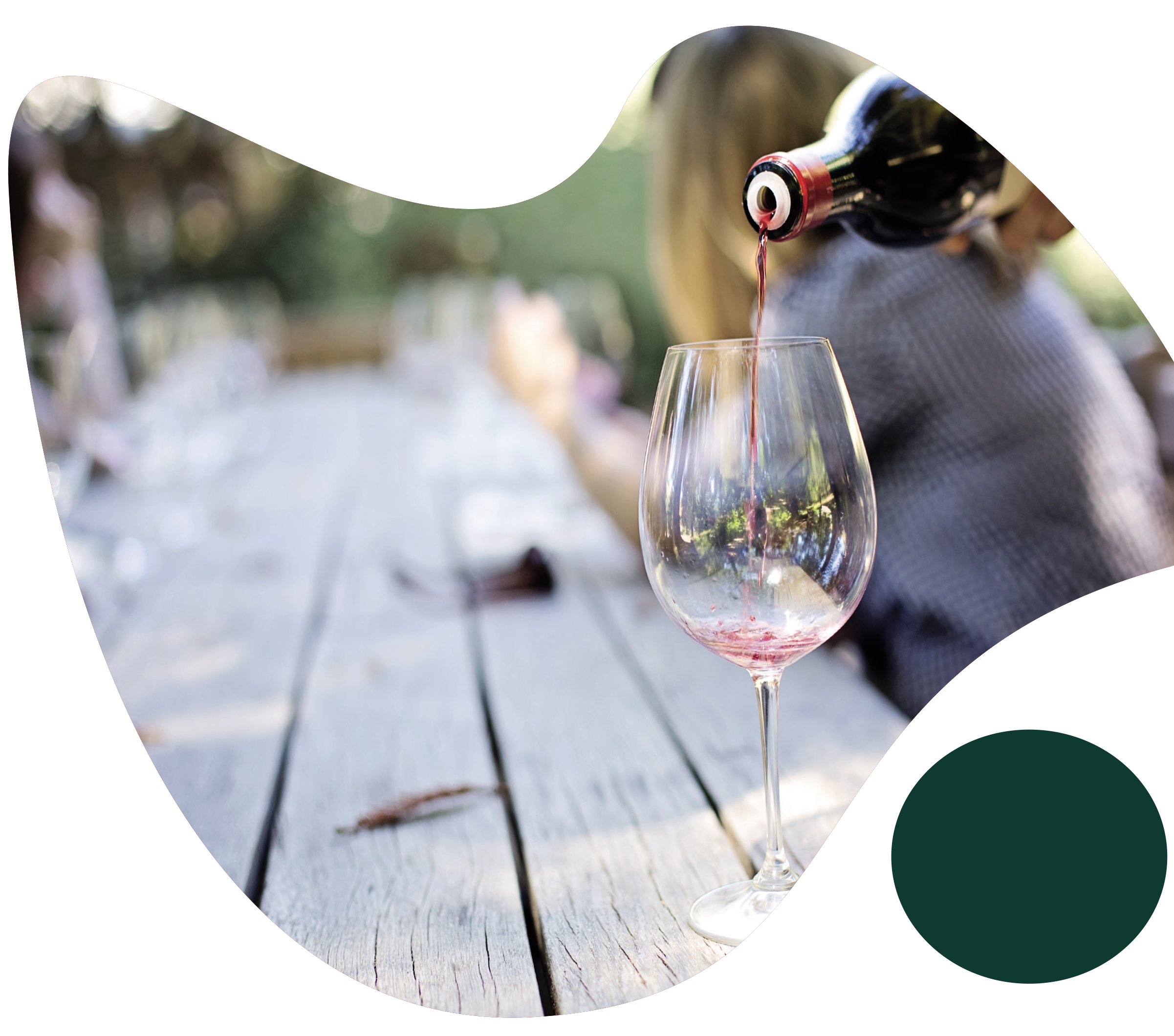 dégustation, amis, vin